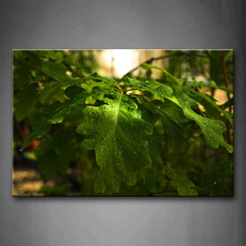 Plant On The Branch Of Leaf Wall Art Painting Pictures Print On Canvas Botanical The Picture For Home Modern Decoration 