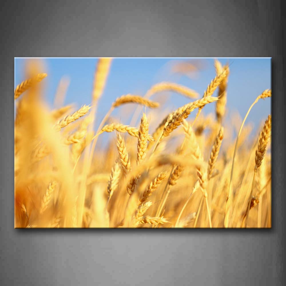 Brown Planty Of Golden Wheat Shining Under Sun Wall Art Painting The Picture Print On Canvas Botanical Pictures For Home Decor Decoration Gift 