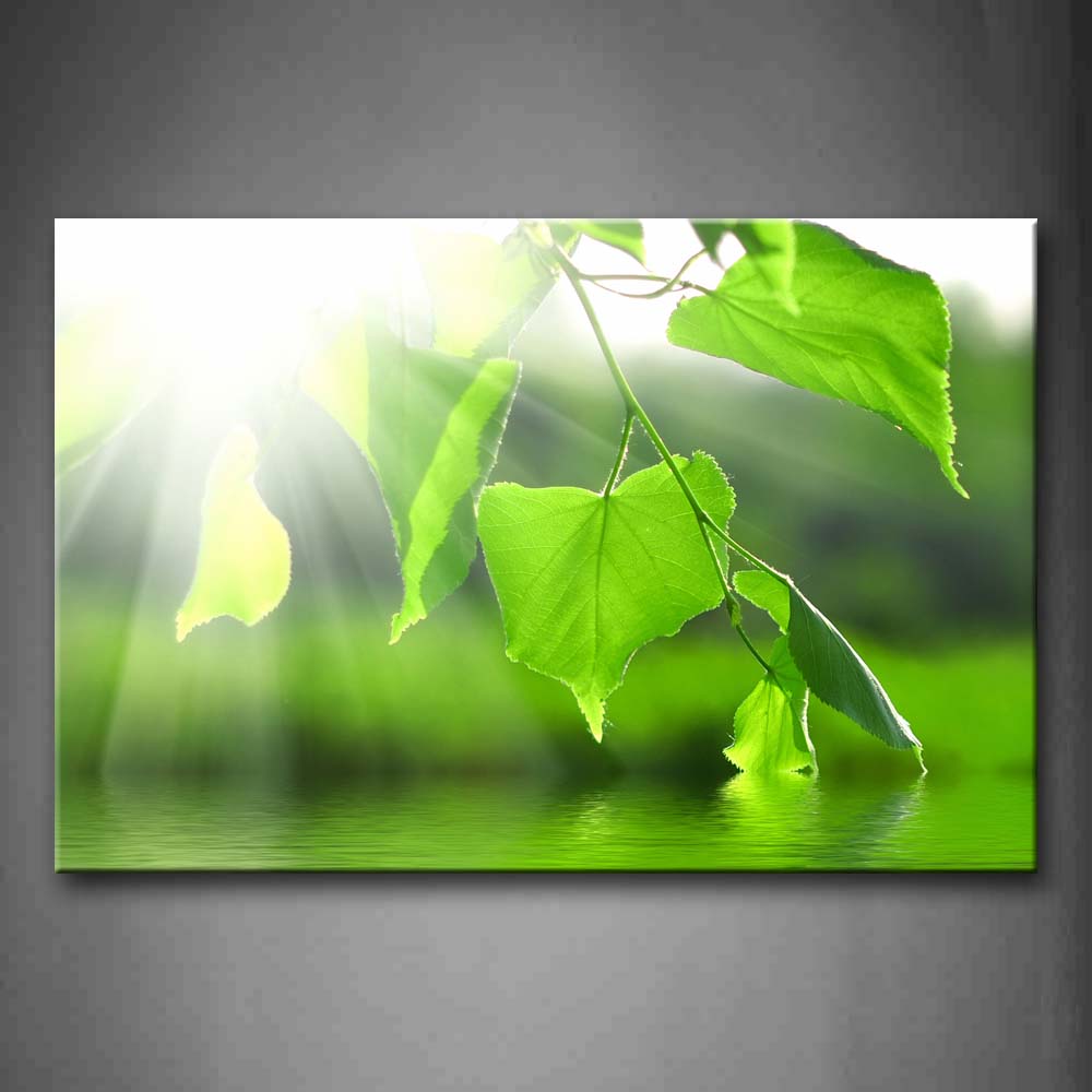 Green Branch Of Leaf Almost Reach To Lake Wall Art Painting Pictures Print On Canvas Botanical The Picture For Home Modern Decoration 