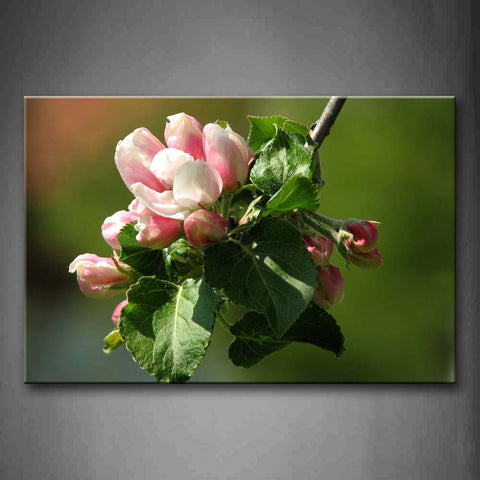 Peachblossom Blossom From A Pine Of Branch Wall Art Painting Pictures Print On Canvas Flower The Picture For Home Modern Decoration 