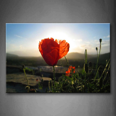 Single Red Flower And Other Plants Front Of Valley Wall Art Painting Pictures Print On Canvas Landscape The Picture For Home Modern Decoration 