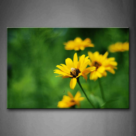 Bellis Perennis Blossom On Green Background Wall Art Painting The Picture Print On Canvas Flower Pictures For Home Decor Decoration Gift 