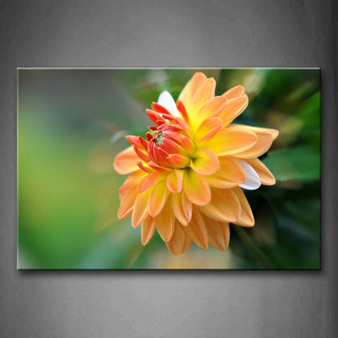 Flower With Red Yellow And Orange Color  Wall Art Painting The Picture Print On Canvas Flower Pictures For Home Decor Decoration Gift 