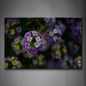 A Cluster Of Flowers With White And Purpel Color Wall Art Painting The Picture Print On Canvas Flower Pictures For Home Decor Decoration Gift 