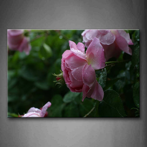 Pink Pretty Flowers Blossom In Brushwood Wall Art Painting The Picture Print On Canvas Flower Pictures For Home Decor Decoration Gift 