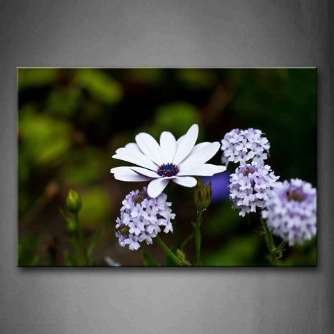 Pure White And Bule Bud Flowers Is Showing Off Wall Art Painting Pictures Print On Canvas Flower The Picture For Home Modern Decoration 