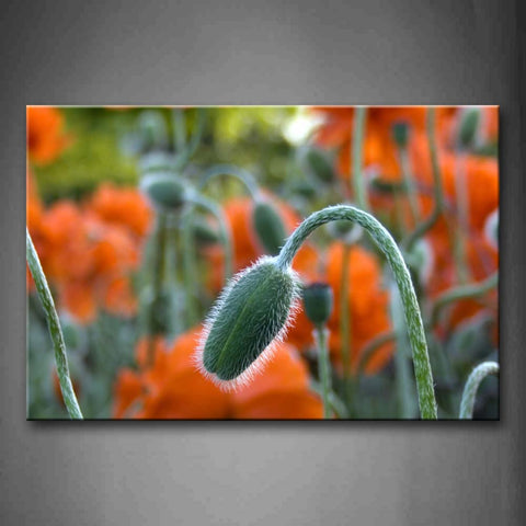Water Drop On The Lotus Leaf Wall Art Painting Pictures Print On Canvas Flower The Picture For Home Modern Decoration 