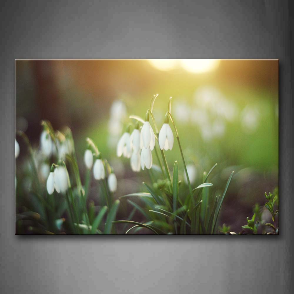 Insect Flying On Purple Flower Wall Art Painting Pictures Print On Canvas Flower The Picture For Home Modern Decoration 