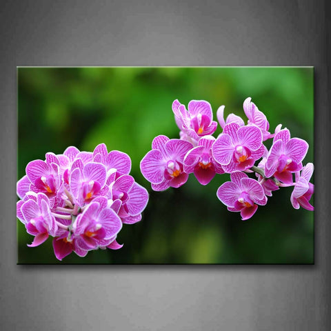 Clear Piece Of Purpel Flower Petal Blossom In Air Wall Art Painting The Picture Print On Canvas Flower Pictures For Home Decor Decoration Gift 