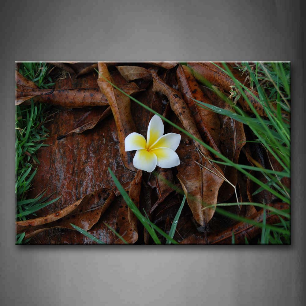 Landscape Of Alps Mountain Grows Many Kinds Of Plants Wall Art Painting Pictures Print On Canvas Flower The Picture For Home Modern Decoration 