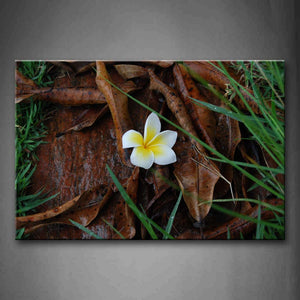 Landscape Of Alps Mountain Grows Many Kinds Of Plants Wall Art Painting Pictures Print On Canvas Flower The Picture For Home Modern Decoration 