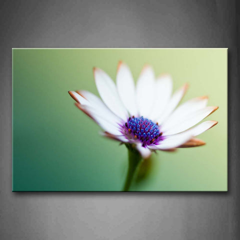 Several Stones On The Beach Washed By Seawater Wall Art Painting Pictures Print On Canvas Flower The Picture For Home Modern Decoration 