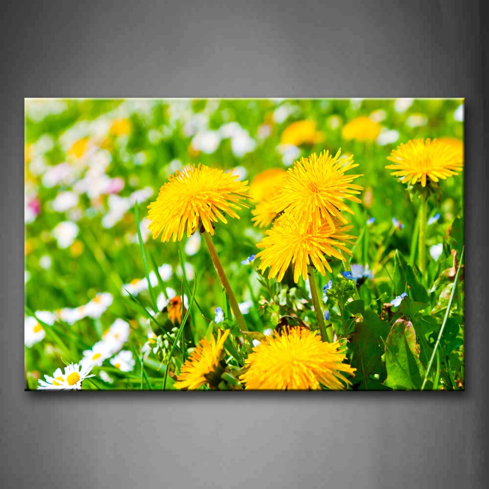 Few Waterfall Flow Down Into Stream With Many Rocks Wall Art Painting The Picture Print On Canvas Flower Pictures For Home Decor Decoration Gift 