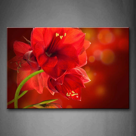 Cluster Of White Flowers Are In Full Bloom Wall Art Painting Pictures Print On Canvas Flower The Picture For Home Modern Decoration 