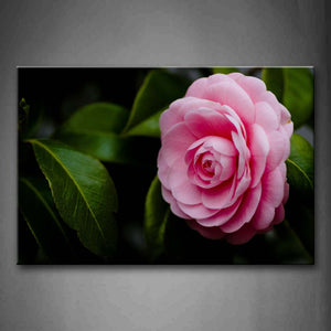 Pink The Green Rose Blossom Close To The White Small Flowers Wall Art Painting The Picture Print On Canvas Flower Pictures For Home Decor Decoration Gift 