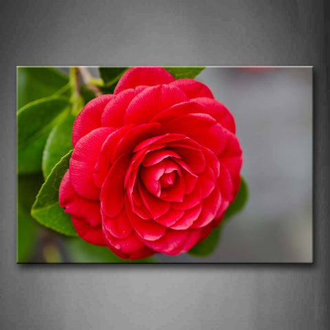 Winter Snowland Have Been Covered By Heavy Snow Wall Art Painting Pictures Print On Canvas Flower The Picture For Home Modern Decoration 