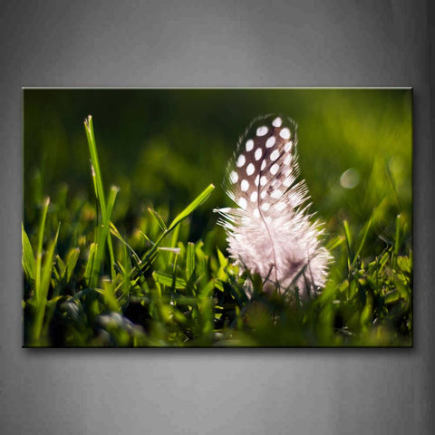 White And Gray Feather In Green Grass Wall Art Painting The Picture Print On Canvas Flower Pictures For Home Decor Decoration Gift 