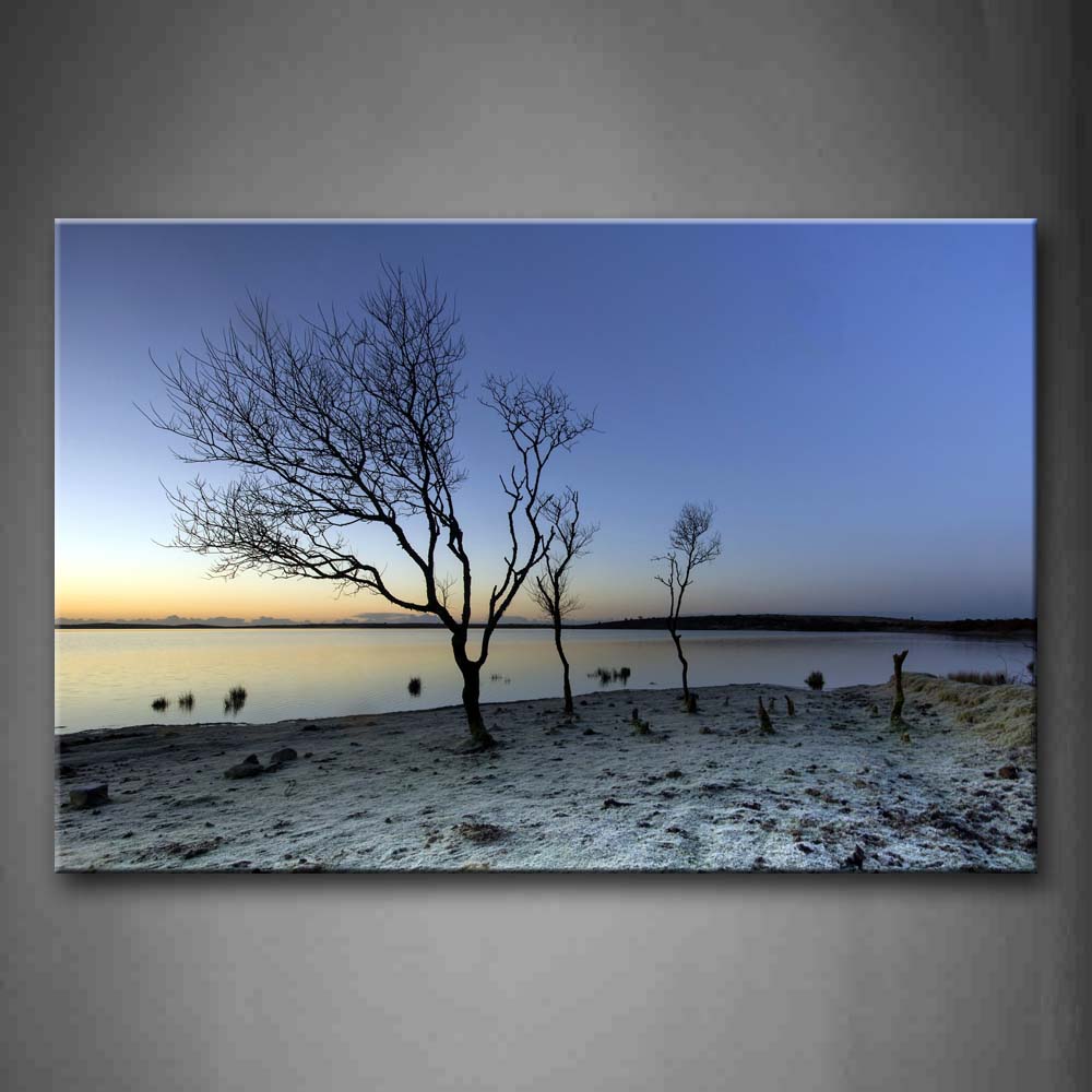 Three Bare Tree Grow On Lakeside Wall Art Painting Pictures Print On Canvas Botanical The Picture For Home Modern Decoration 