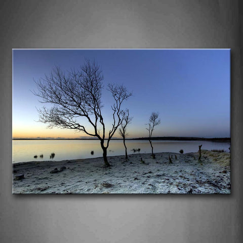 Three Bare Tree Grow On Lakeside Wall Art Painting Pictures Print On Canvas Botanical The Picture For Home Modern Decoration 