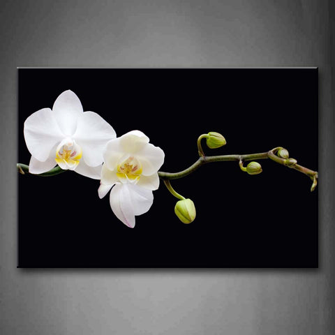 White Flower With Buds On Branch In Black Background Wall Art Painting Pictures Print On Canvas Flower The Picture For Home Modern Decoration 