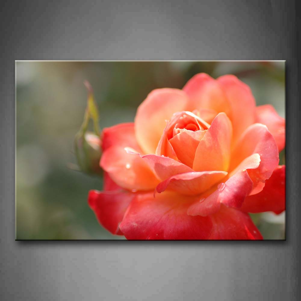 Pink And Red Rose Portrait Wall Art Painting The Picture Print On Canvas Flower Pictures For Home Decor Decoration Gift 
