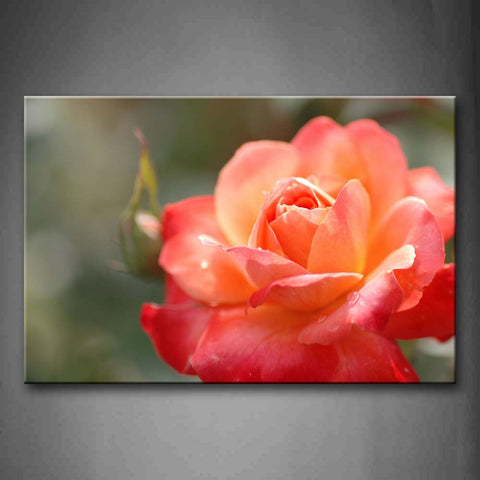 Pink And Red Rose Portrait Wall Art Painting The Picture Print On Canvas Flower Pictures For Home Decor Decoration Gift 