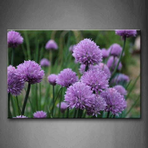 Many Purple Flowers With Green Leafs And Grass Wall Art Painting Pictures Print On Canvas Flower The Picture For Home Modern Decoration 