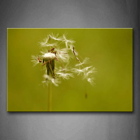 Small Spider Climb On Dandelion Wall Art Painting Pictures Print On Canvas Flower The Picture For Home Modern Decoration 