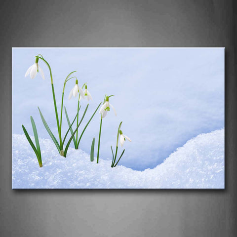 White Flowers With Green Leafs On White Snow Wall Art Painting Pictures Print On Canvas Botanical The Picture For Home Modern Decoration 