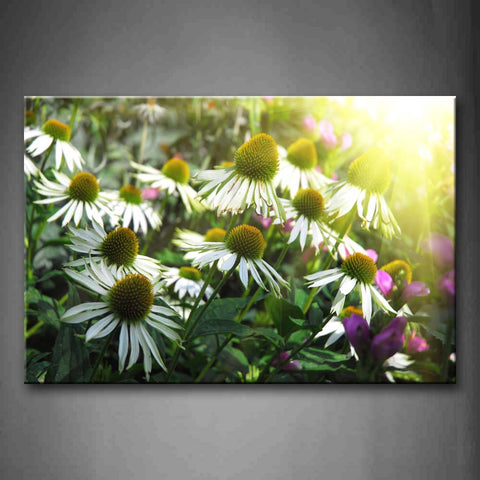 Thick White And Purple Flowers Bright Sun Wall Art Painting The Picture Print On Canvas Flower Pictures For Home Decor Decoration Gift 