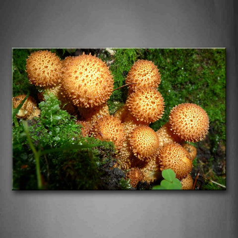 Yellow Mushrooms Grow Near Moss Wall Art Painting The Picture Print On Canvas Botanical Pictures For Home Decor Decoration Gift 