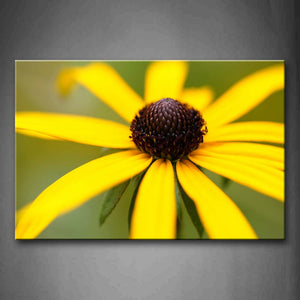 Yellow Peatals With Brown Anther Wall Art Painting Pictures Print On Canvas Flower The Picture For Home Modern Decoration 