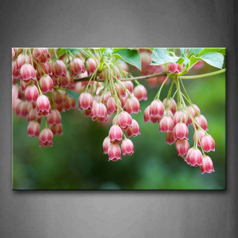 Pink And White Flowers On Branch Wall Art Painting The Picture Print On Canvas Flower Pictures For Home Decor Decoration Gift 