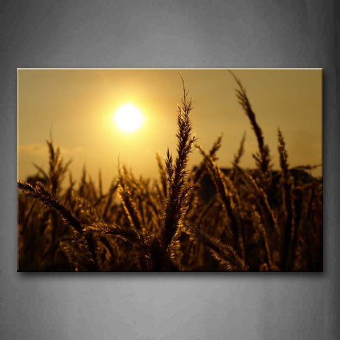 Golden Sun Shine On Plant  Wall Art Painting The Picture Print On Canvas Landscape Pictures For Home Decor Decoration Gift 