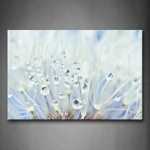 Lucid Water Frops On White Dandelion Wall Art Painting The Picture Print On Canvas Flower Pictures For Home Decor Decoration Gift 