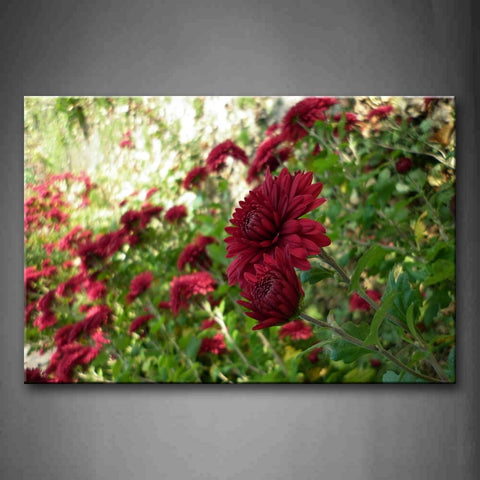 Dark Red Flowers With Green Leafs Wall Art Painting Pictures Print On Canvas Flower The Picture For Home Modern Decoration 