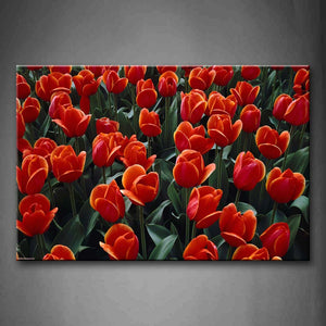 Many Red Flowers With Dark Green Leafs Wall Art Painting Pictures Print On Canvas Flower The Picture For Home Modern Decoration 