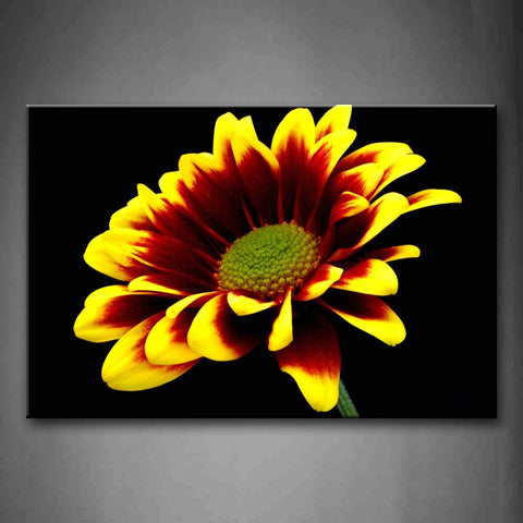 Yellow And Red Flower In Black Background Wall Art Painting Pictures Print On Canvas Flower The Picture For Home Modern Decoration 