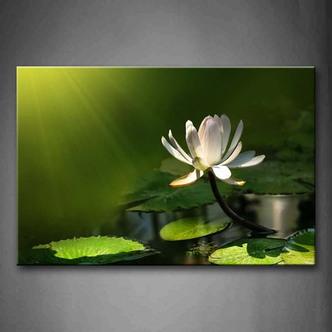 White Lotus Over Green Leafs Bright Lights Wall Art Painting Pictures Print On Canvas Flower The Picture For Home Modern Decoration 