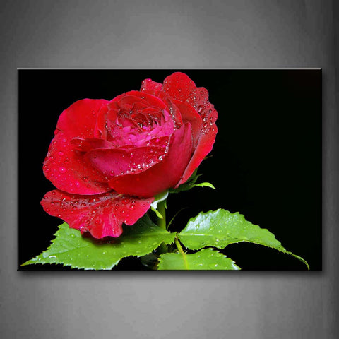 Red Rose With Water Drops And Leafs Wall Art Painting Pictures Print On Canvas Flower The Picture For Home Modern Decoration 