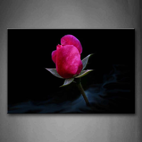 Pink Rose With Smoke In Black Background Wall Art Painting Pictures Print On Canvas Flower The Picture For Home Modern Decoration 