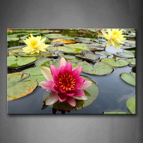Pink And Yellow Lotus Over Green Leaf  Wall Art Painting The Picture Print On Canvas Flower Pictures For Home Decor Decoration Gift 