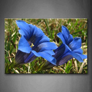 Two Blue Flowers In Dry And Green Grass Wall Art Painting The Picture Print On Canvas Flower Pictures For Home Decor Decoration Gift 
