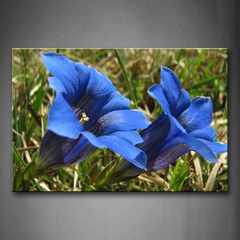 Two Blue Flowers In Dry And Green Grass Wall Art Painting The Picture Print On Canvas Flower Pictures For Home Decor Decoration Gift 