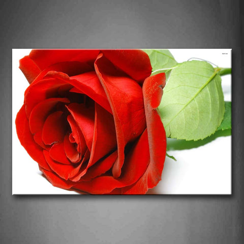 Red Rose And Green Leafs On White Floor Wall Art Painting The Picture Print On Canvas Flower Pictures For Home Decor Decoration Gift 
