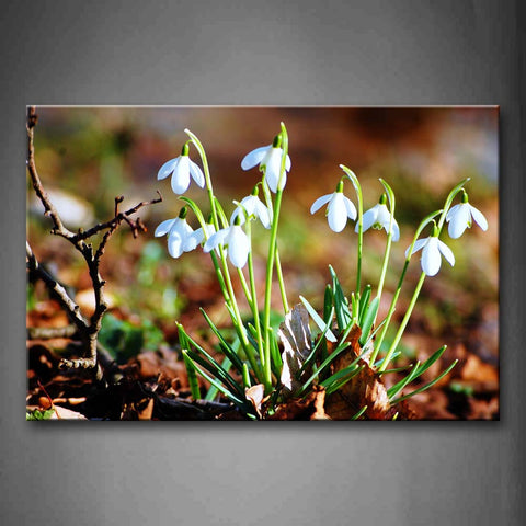 Small White Flowers With Light Green Leafs On Fallen Leafs Wall Art Painting Pictures Print On Canvas Flower The Picture For Home Modern Decoration 