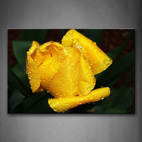 Water Drops On Stange Yellow Flowers Wall Art Painting The Picture Print On Canvas Flower Pictures For Home Decor Decoration Gift 