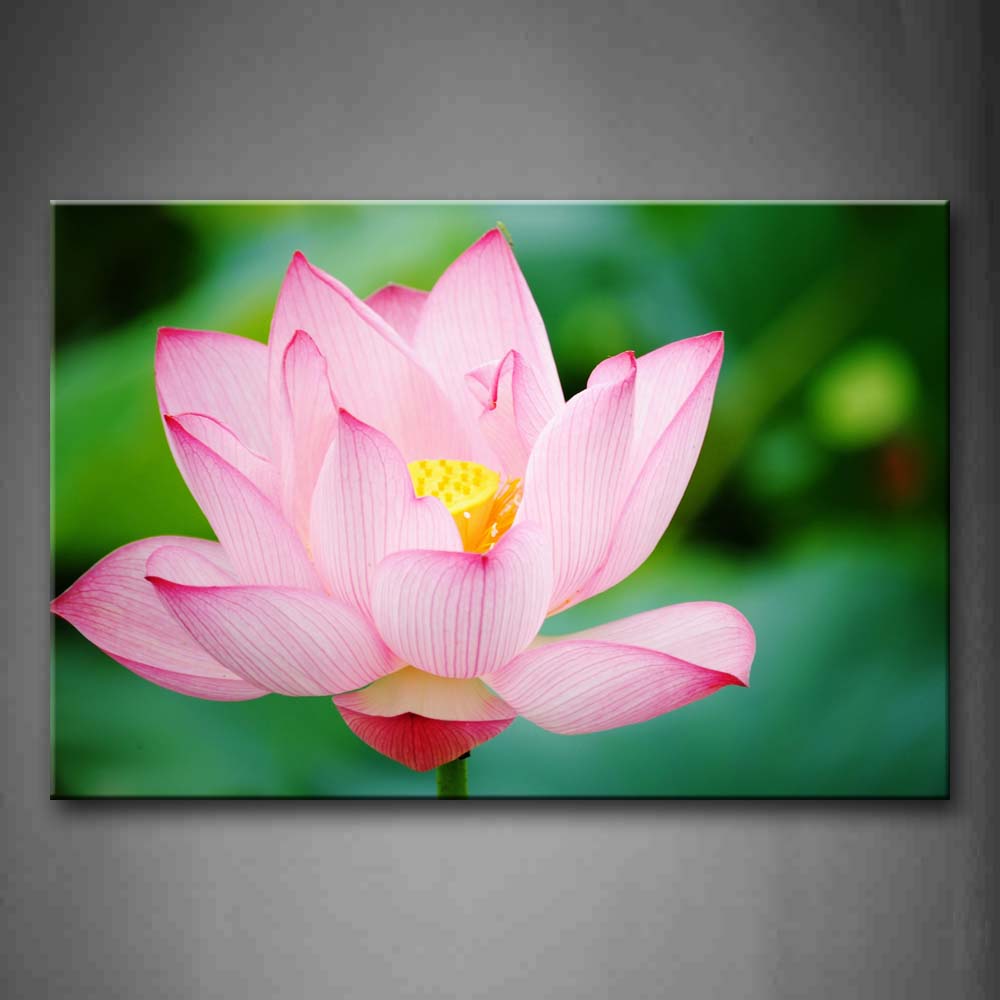 Pink And White Lotus Portrait Wall Art Painting Pictures Print On Canvas Flower The Picture For Home Modern Decoration 