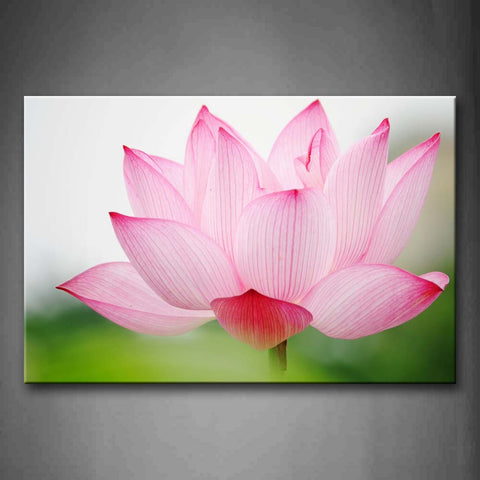 White And Pink Lotus Portrait Wall Art Painting Pictures Print On Canvas Flower The Picture For Home Modern Decoration 
