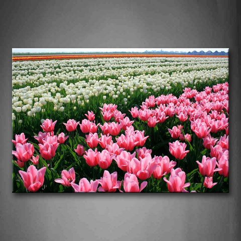 Many White And Pink Flowers On Field Wall Art Painting The Picture Print On Canvas Flower Pictures For Home Decor Decoration Gift 